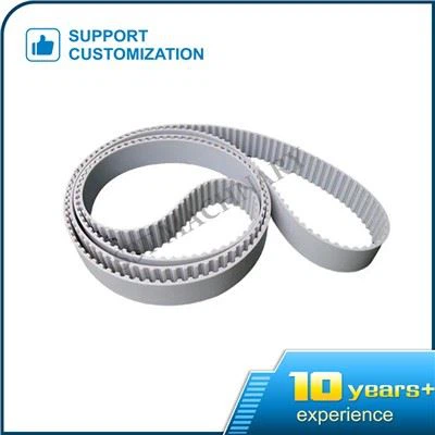 T20 Timing Belt